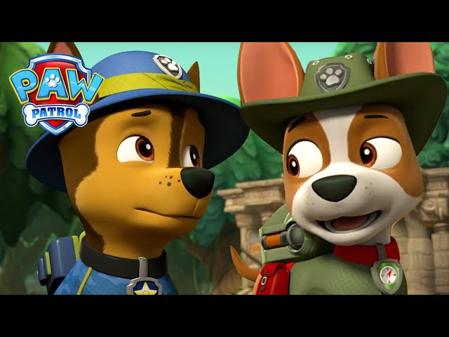 Tracker Joins the Paw Patrol! 🐾 - PAW Patrol - Cartoons for Kids