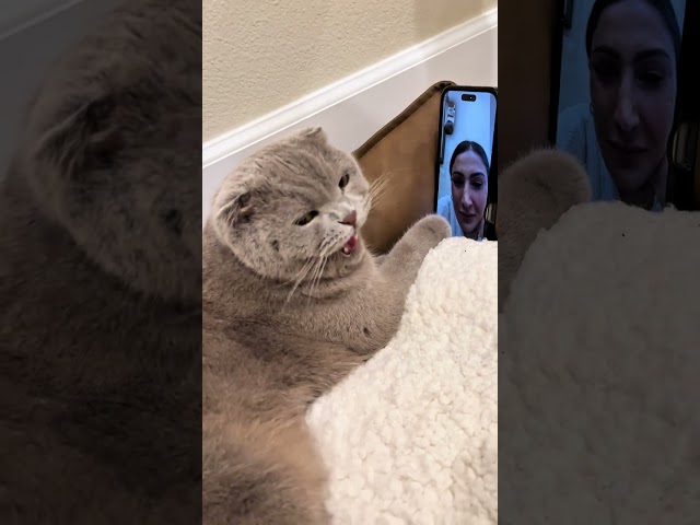 What a snitch!