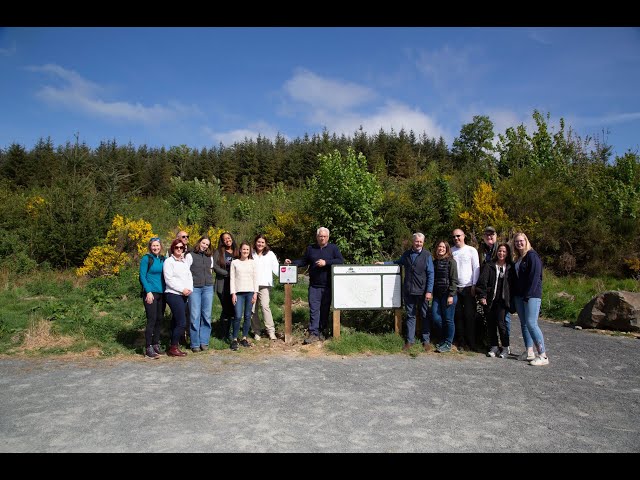 Powering Net Zero: The Partnership Behind the DWF Forest