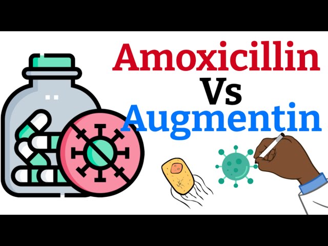 Amoxicillin or Augmentin? Choosing the Right Antibiotic