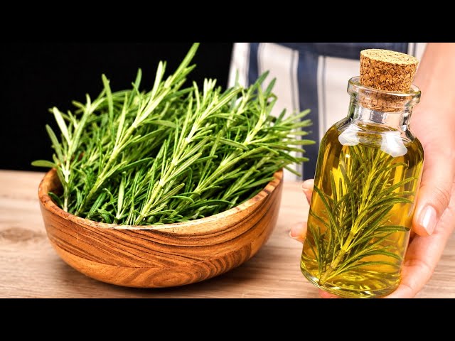 Incredible! Rosemary – a real treasure! It wipes away varicose veins like rubber!