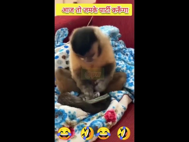 Funny comedy #comedy #funny