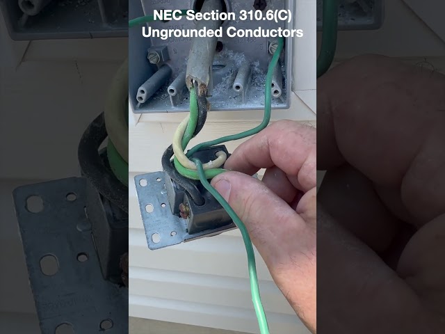 EV Charger Monkey Business