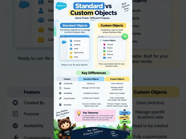 Standard vs Custom Objects in Salesforce | Complete Difference Explained | Salesforce Tutorial
