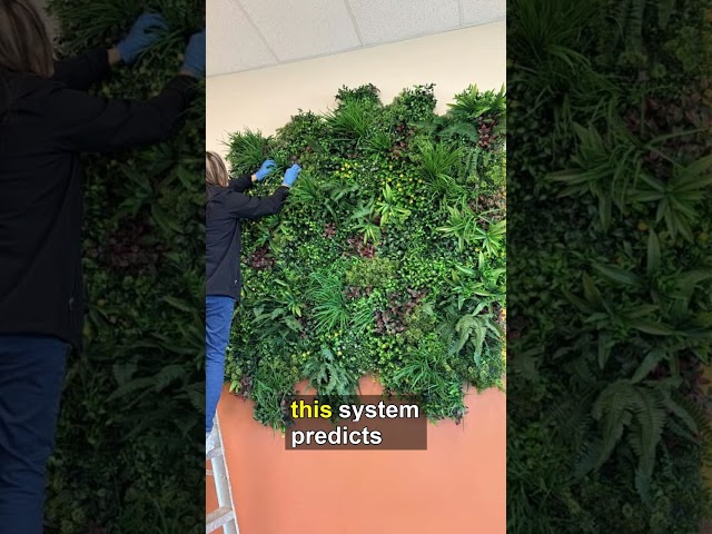 Transform Your Space with Smart Green Walls!