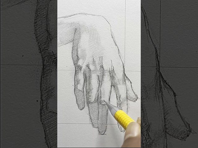 Hand Anatomy Drawing Session