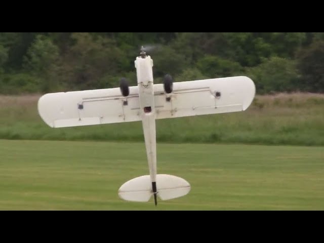 Multiplex FunCub 3D Flying