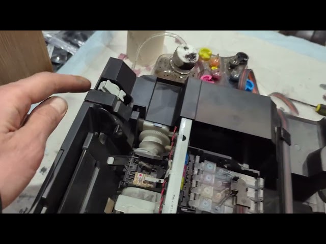 Printer Epson Error w 1