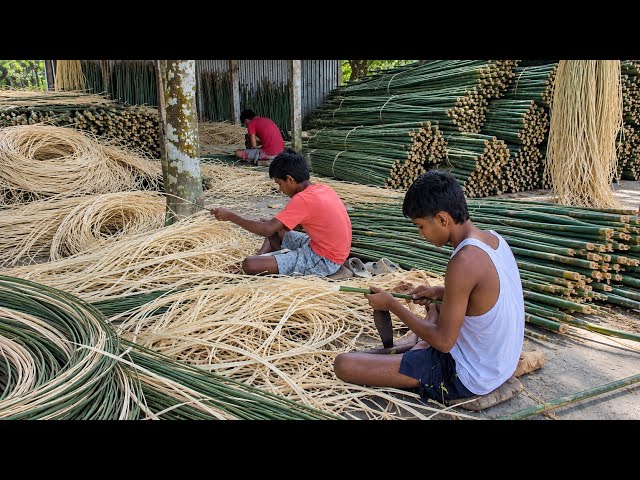 Amazing Traditional Shital Pati Making Complete Process | How Beautiful Reed Mats Are Made