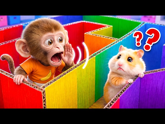 🐹Hamster Escapes the Rainbow Maze with Baby Monkey | Animal Song | Nursery Rhymes & Kids Songs