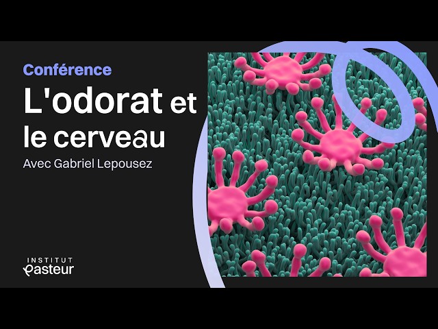 Neuroscience : les secrets de l'odorat ? | Conférences de l'Institut Pasteur 🏫