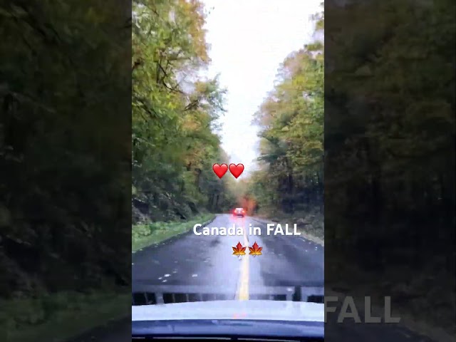 Canada Fall Drive Timelapse | Gatineau Park Views