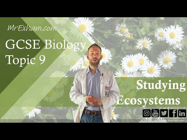 Studying Ecosystems - Core Practicals - GCSE Biology (9-1) 9.5 - 9.6
