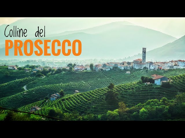 🇮🇹 Prosecco Hills (Veneto) 🍇 Between Conegliano and Valdobbiadene - UNESCO World Heritage Site