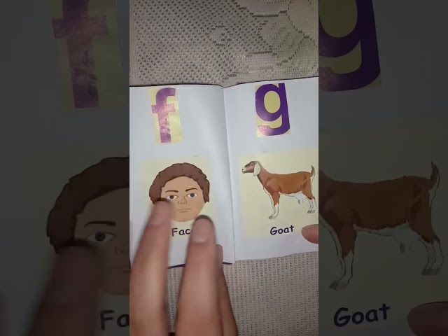 Picture Dictionary For kids #dictionary #kids #shorts #video