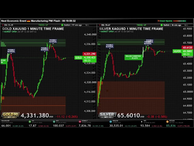 🟡GOLD + ⚪SILVER  LIVE 1Minute Time Frame  ( XAU XAG )