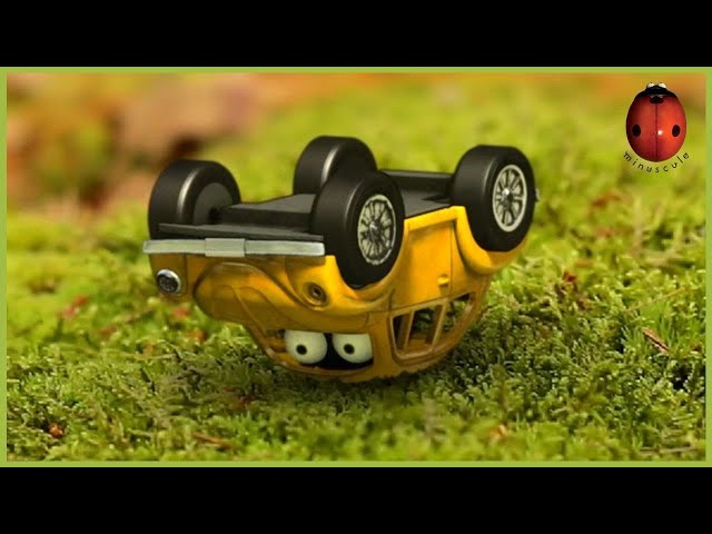 Spider Driver | Minuscule