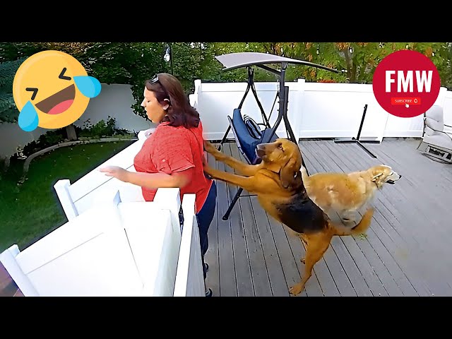 People Being Idiots 😆 #331 | TRY NOT TO LAUGH 😂 | Instant Regret Fails Compilation 2025