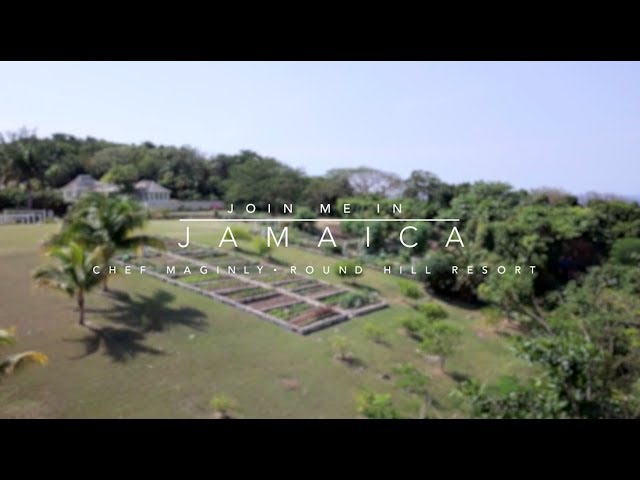 Join Me In Jamaica: Chef Maginley