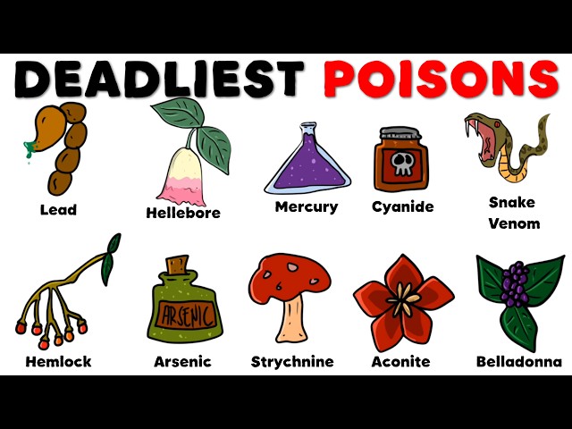 Every Poison Used in Ancient Civilizations