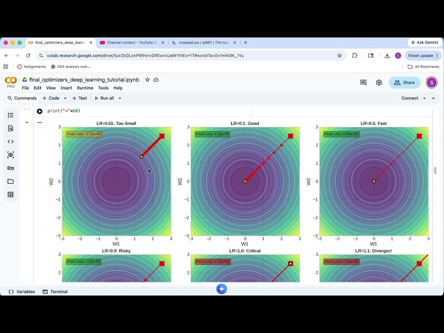 final_optimizers_deep_learning_tutorial Demo Video