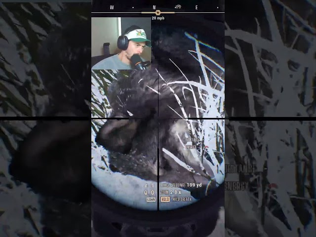 Bet This Wolf Won't Scare Me Again 😂 #wayofthehunter2