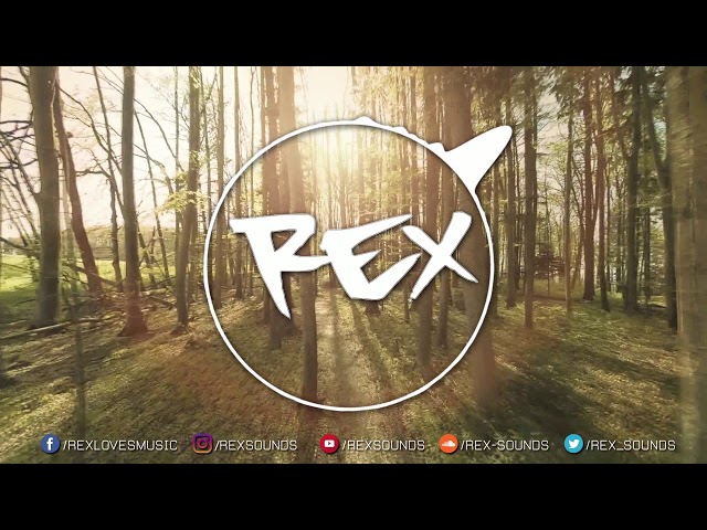 Hurks & P3RIPH3RAL - Perfect Soul (feat. Ashley Apollodor) 👑 Rex Sounds
