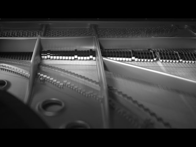 Anonymous Footsteps (original composition by Nahre Sol)