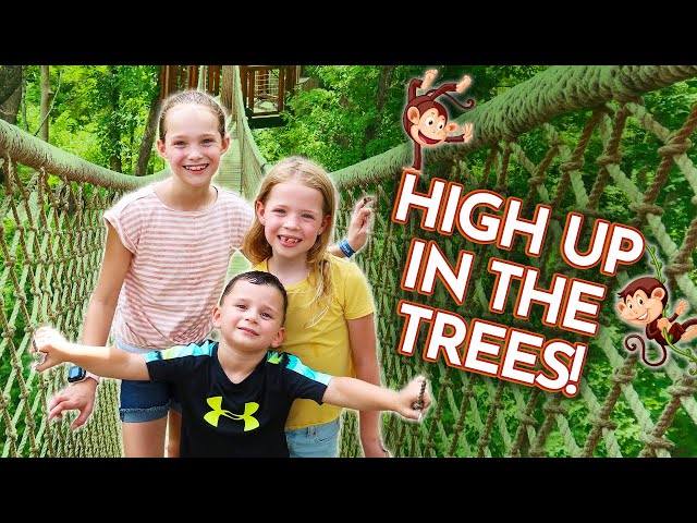 Looking for BEARS in the GREAT SMOKY MOUNTAINS !!!