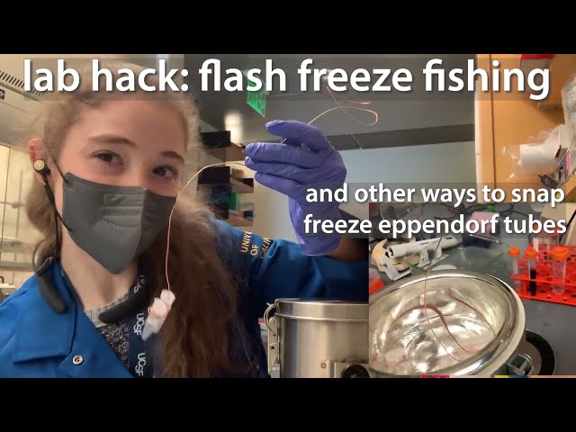 Flash freeze fishing - and other tricks for snap freezing eppendorf tubes in liquid nitrogen
