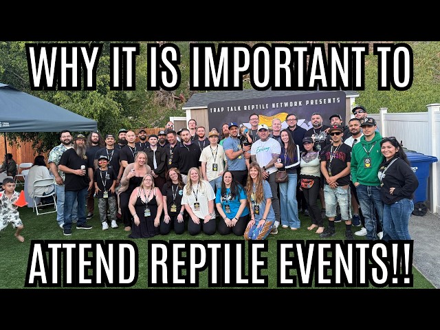 Why It Is So Important To Attend In-Person Reptile Events!!