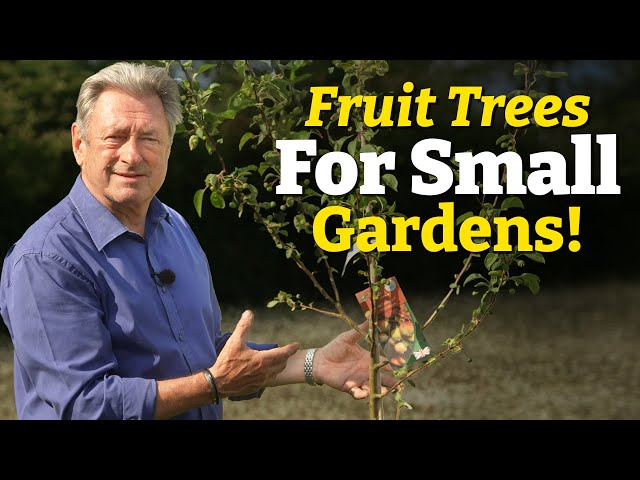 How to Grow Fruit in Small Gardens | Easy, Space-Saving Ideas