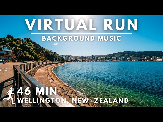 Waterfront Promenade in Wellington, New Zealand 🇳🇿 | Virtual Running Video For Treadmill With Music