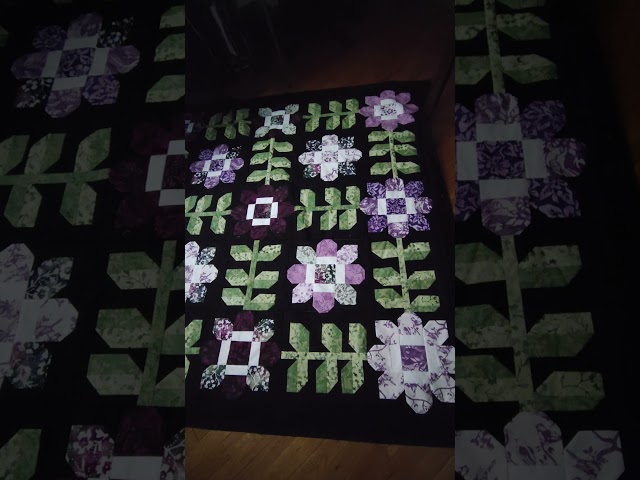 Edelweiss - Update with borders one.