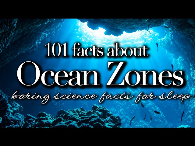 Science For Sleep💤Ocean Zones Explained💤Bedtime Story For Grown Ups