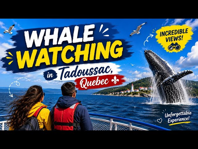 Whale Watching in Tadoussac, Quebec | Best Day of Our Trip? | theMountainFam