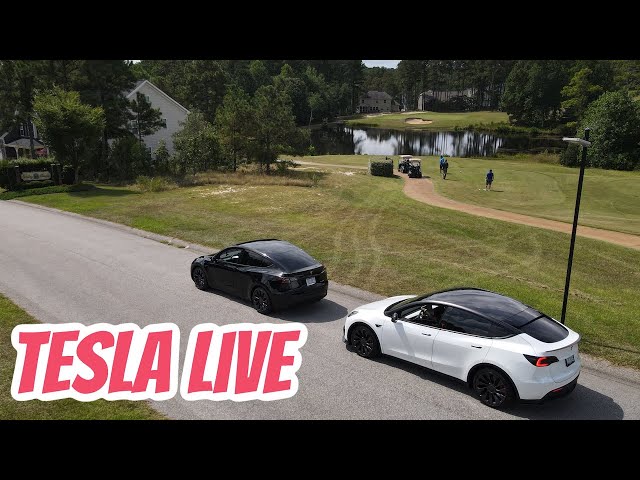 Tesla Model Y POV