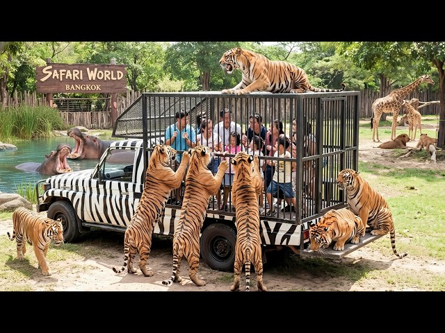 Safari World Bangkok: Thailand's Best Zoo & Animal Park | Full Tour (4K Video)