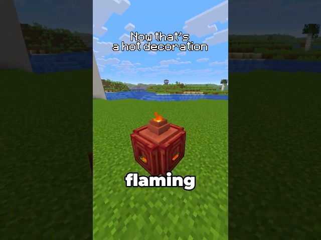 Now that’s a hot decoration  #minecraft