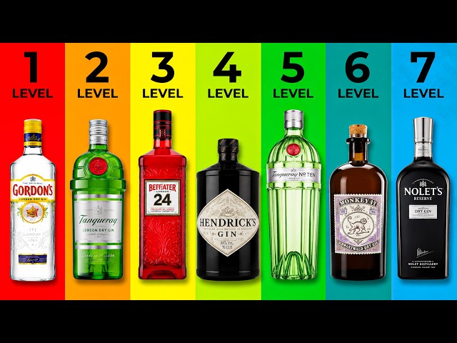7 Levels of Gin