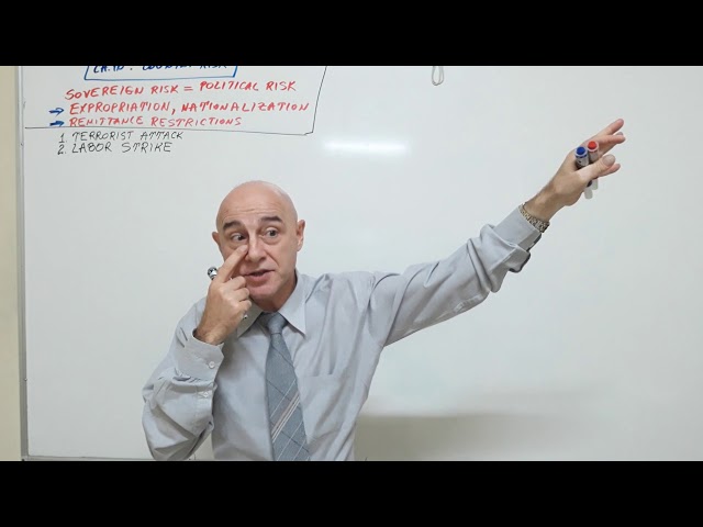 International Finance - Lecture 24