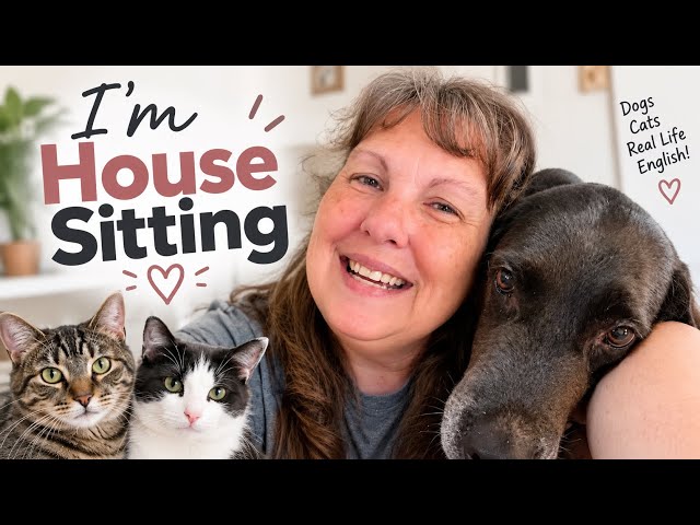I’m House Sitting! 🐶🐱 Slow English Comprehensible Input 
