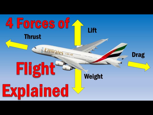 The 4 Forces of Flight | How Flight Works