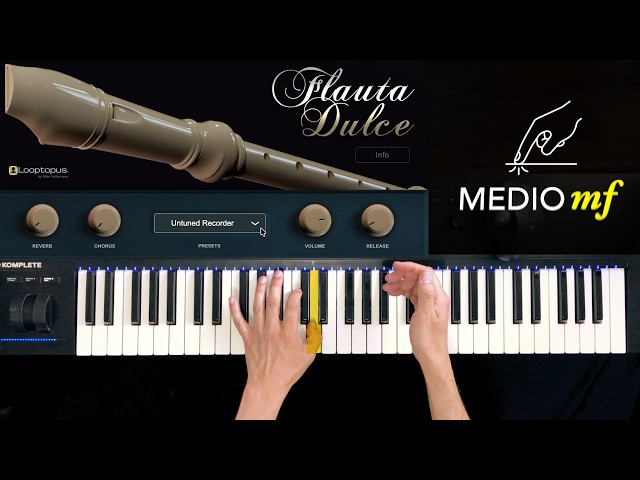 Flauta Dulce VST — Tutorial Completo | Cómo Funciona | Looptopus