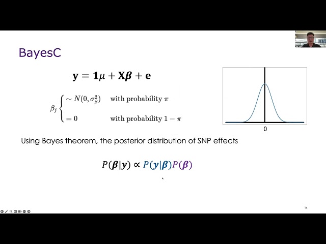 Polygenic Prediction: Part 4 Bayesian methods for PGS prediction