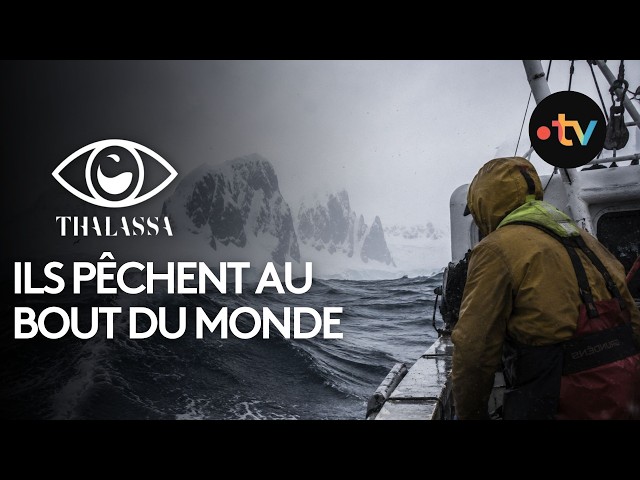 Pêcheur des extrêmes | Grand documentaire Thalassa