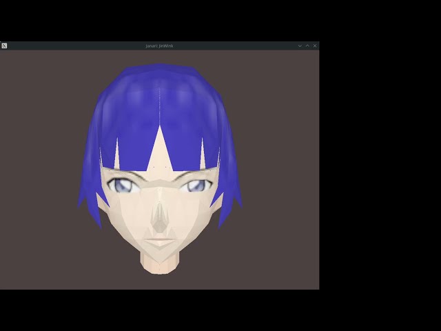 JInWink X3DJSAIL app, rendered with Janari, mods to anari-java, and ANARI-SDK 0.16.