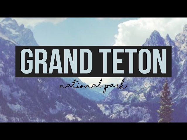 Exploring Grand Teton National Park - a Drivin' & Vibin' Travel Vlog