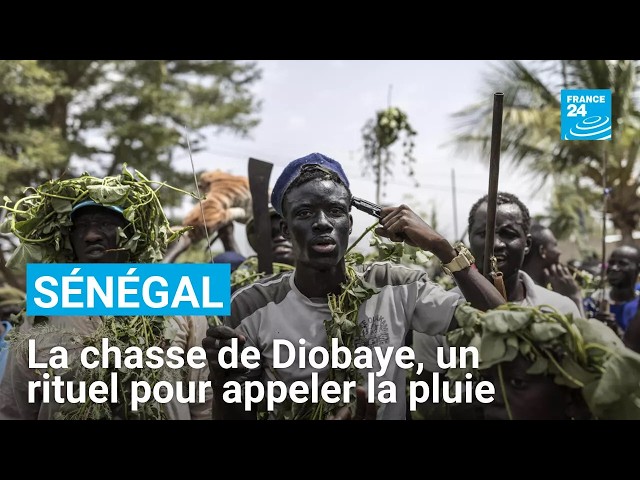 Au Sénégal, des hommes pratiquent la chasse pour faire tomber la pluie • FRANCE 24