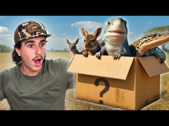 Buying The Creepiest Live Animal Box Off The Web…